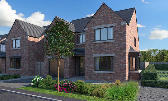 Plot 5